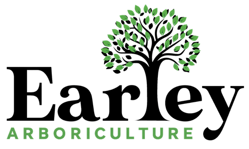 Earley Arboriculture