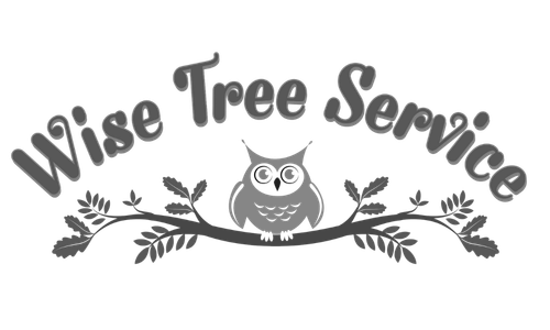 Wise Tree Service